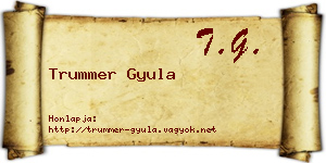 Trummer Gyula névjegykártya